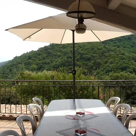 Les Mimosas *